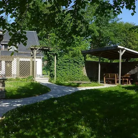 Wasserläufer * Mulde