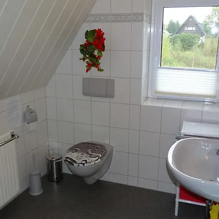 Wasserläufer * Mulde